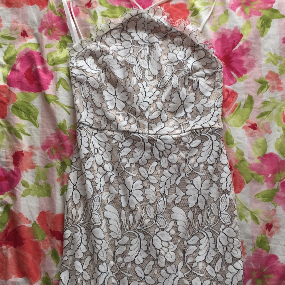 Lulu’s Lace Dress